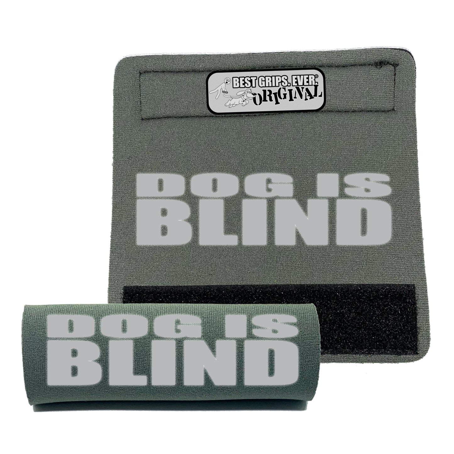 REFLECTIVE Dog is Blind