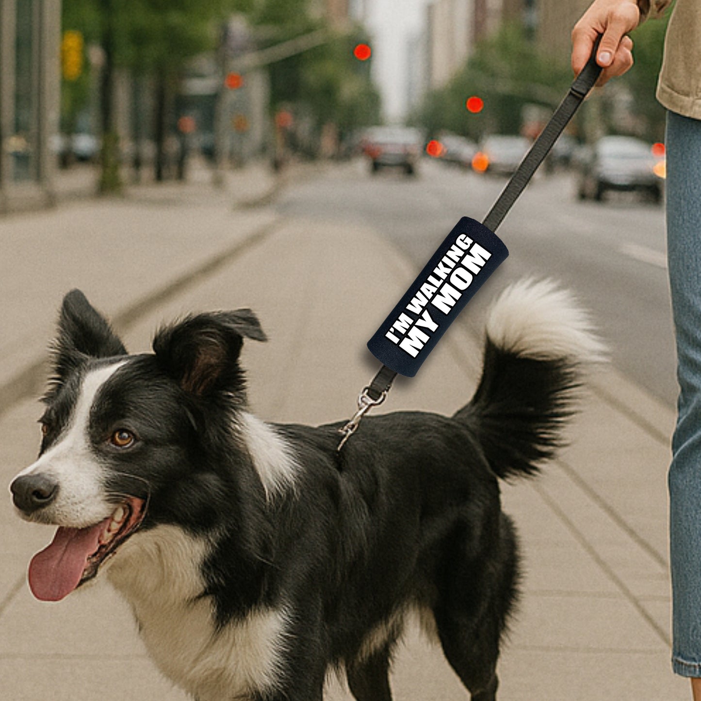 Walking my Mom Grip