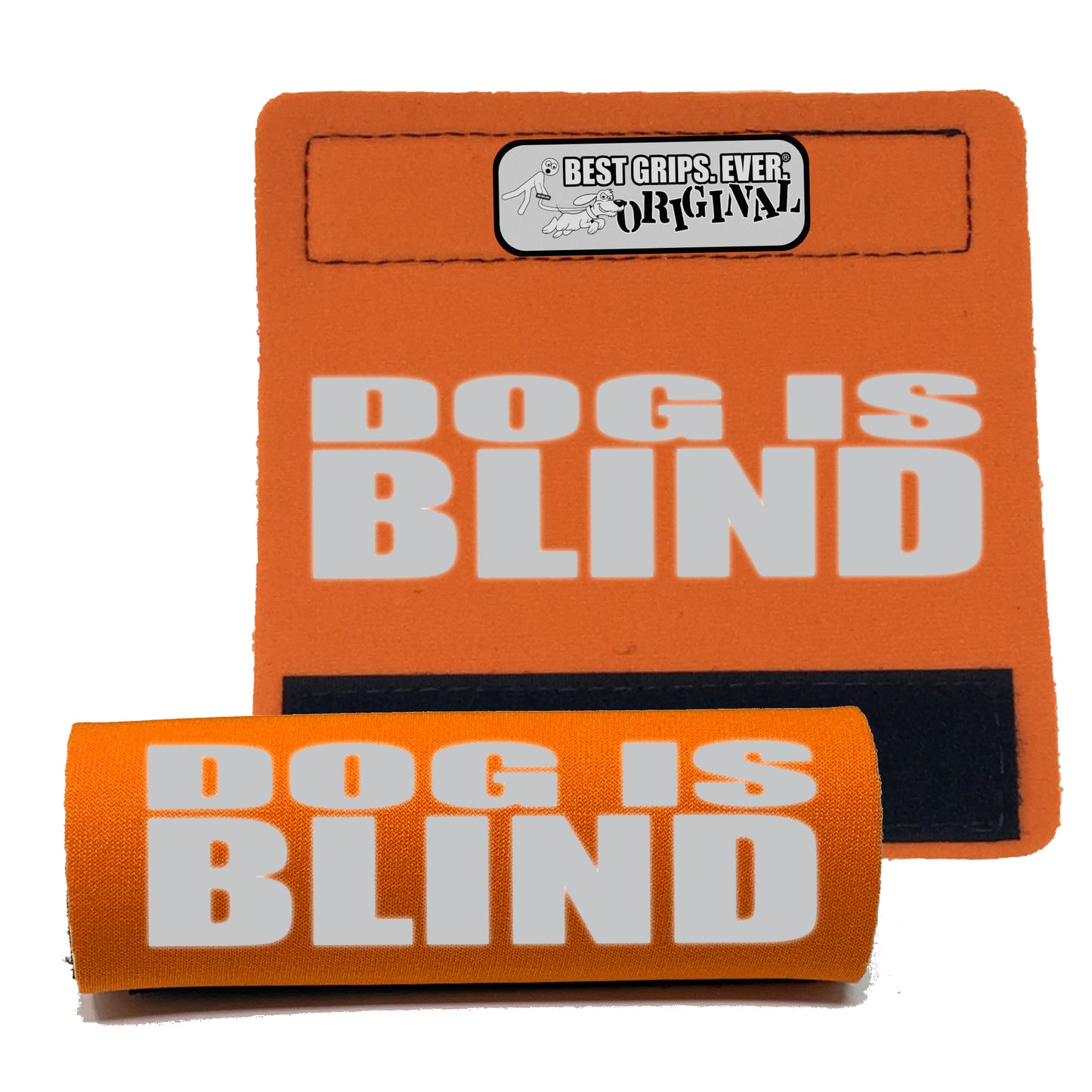 REFLECTIVE Dog is Blind