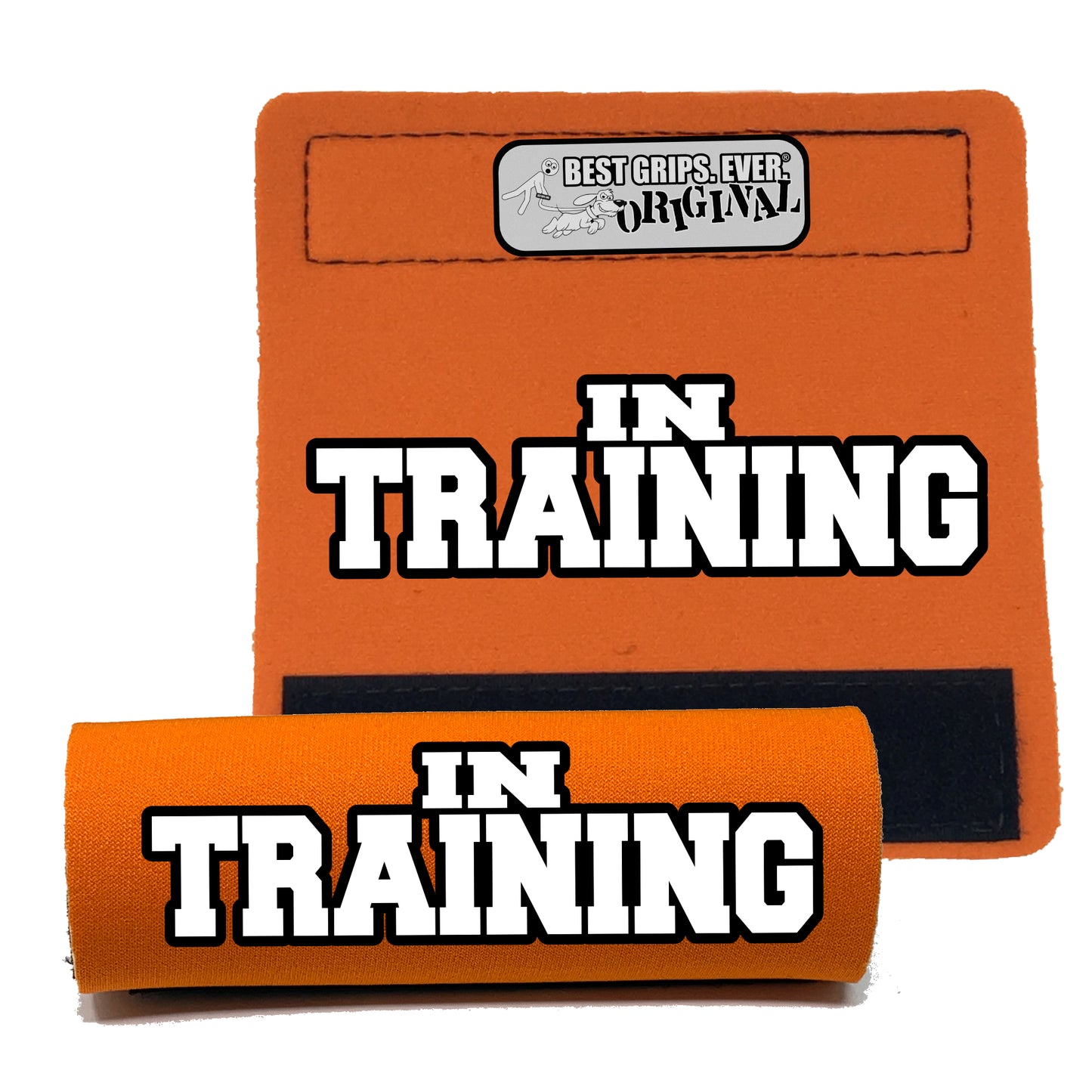 IN TRAINING Sleeve