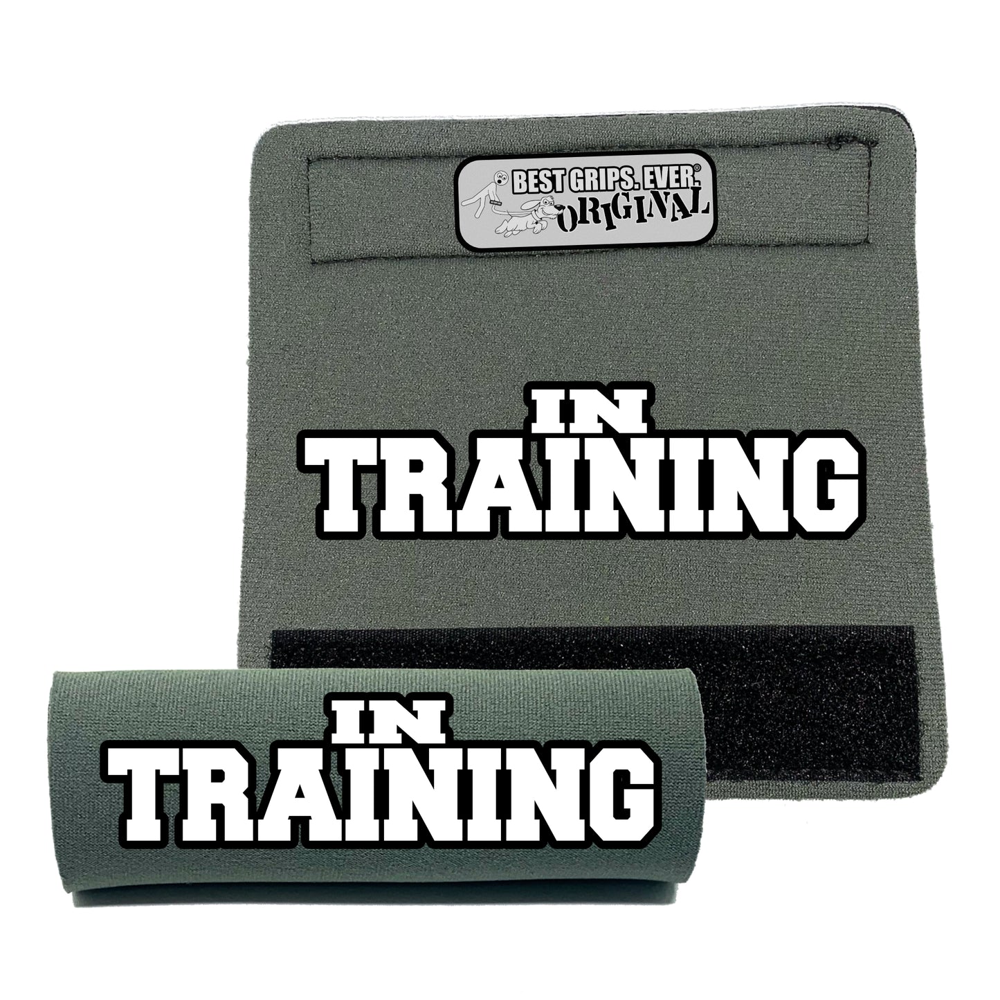 IN TRAINING Sleeve