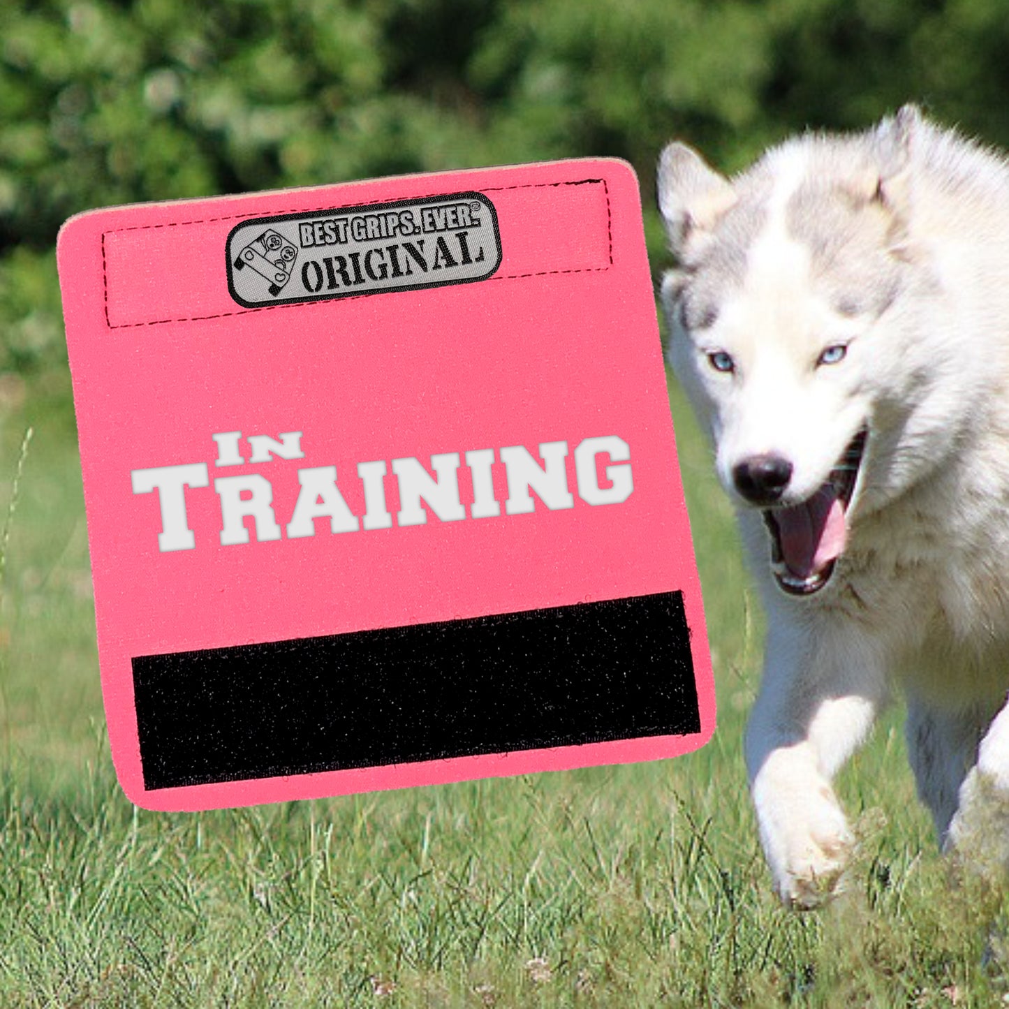 IN TRAINING Grip (1 Unit)