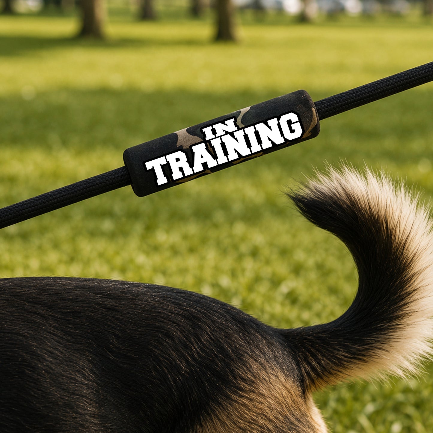 IN TRAINING Grip