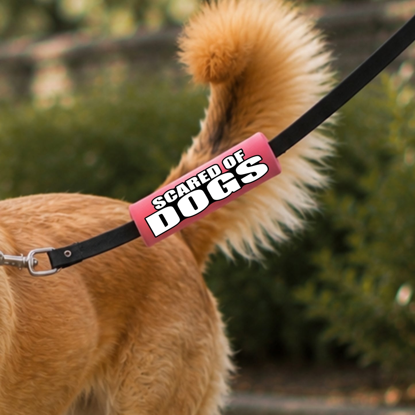 SCARED OF DOGS Grip
