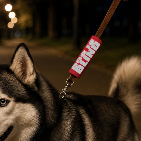 REFLECTIVE Dog is Blind