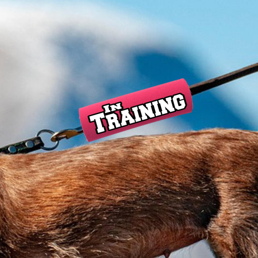 IN TRAINING Grip by BEST GRIPS. EVER.®