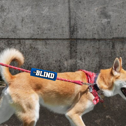 I'M BLIND GRIP by BEST GRIPS. EVER.®