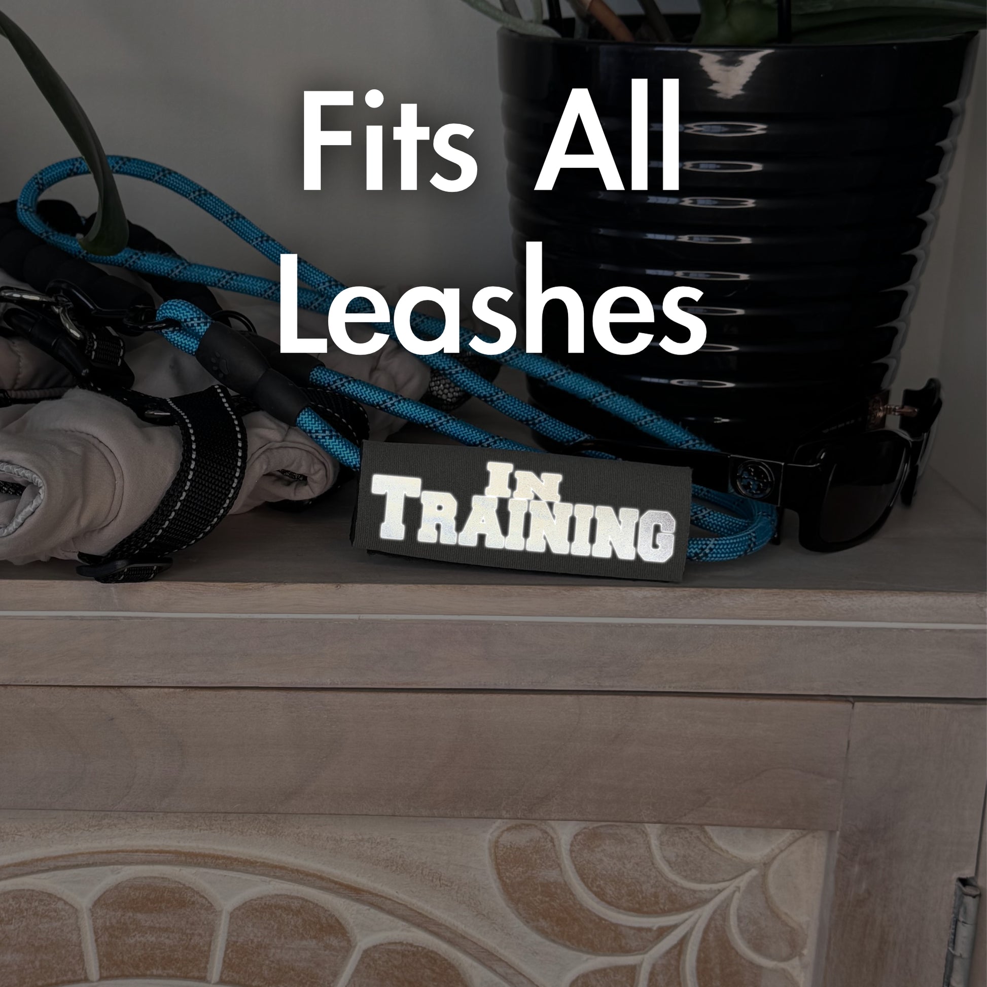 BEST GRIPS. EVER.® leash grip featuring HI-VIS IN TRAINING Grip, designed to improve comfort, control, and safety during dog walks.