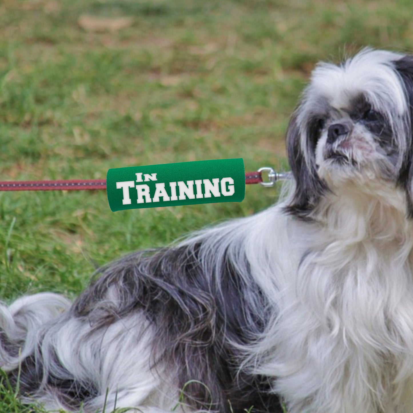 IN TRAINING Grip (1 Unit)