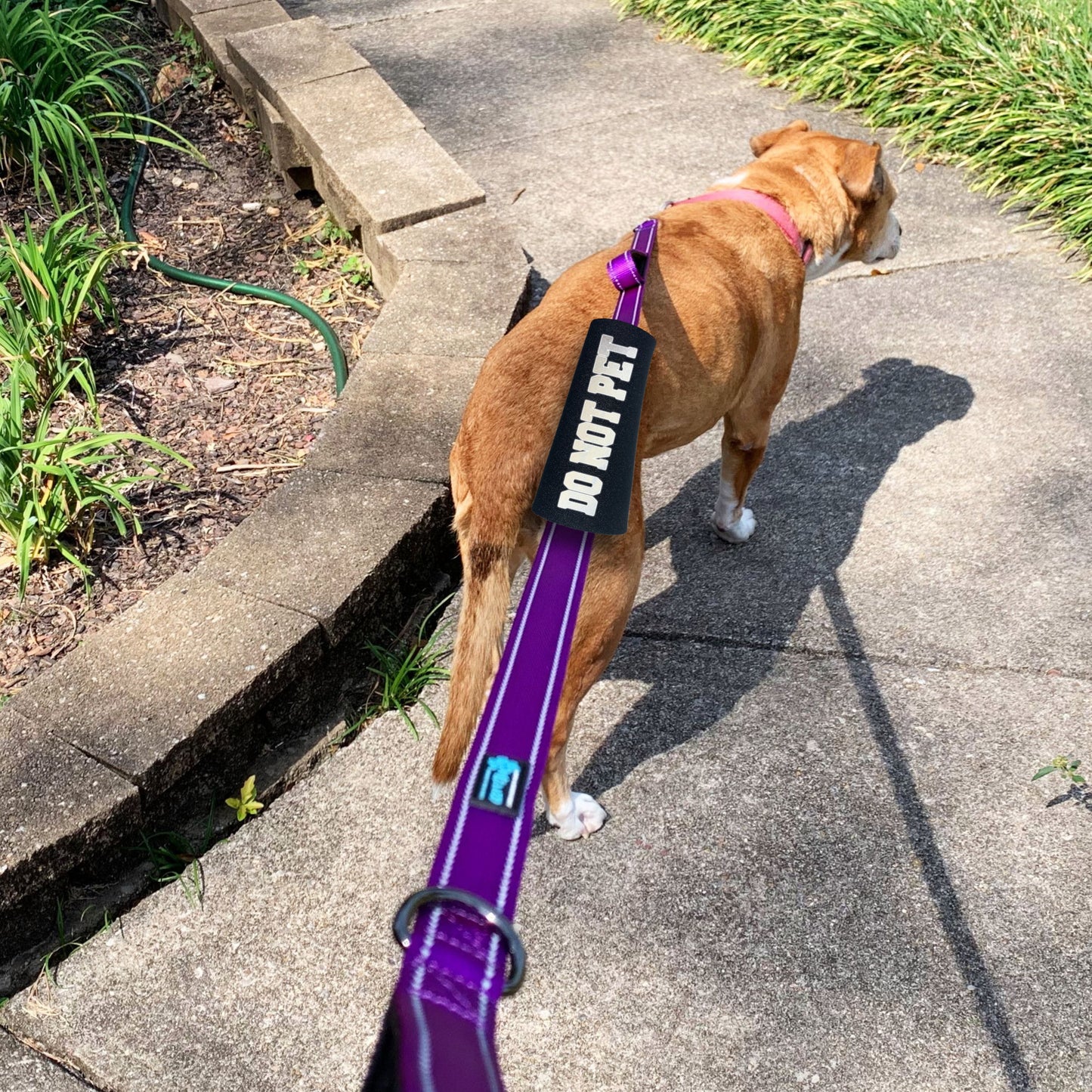 HI-VIS DO NOT PET Grip (1 Unit)
