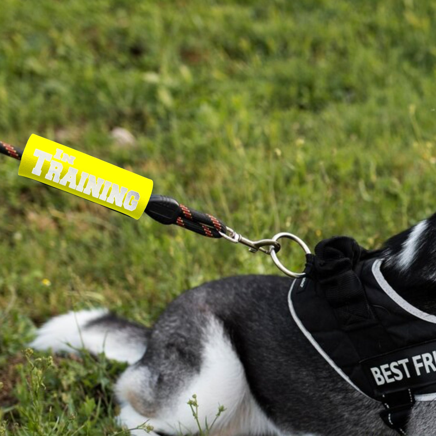 HI-VIS IN TRAINING Grip