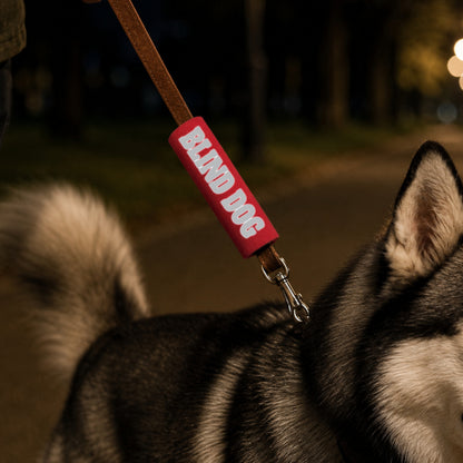 REFLECTIVE Blind Dog