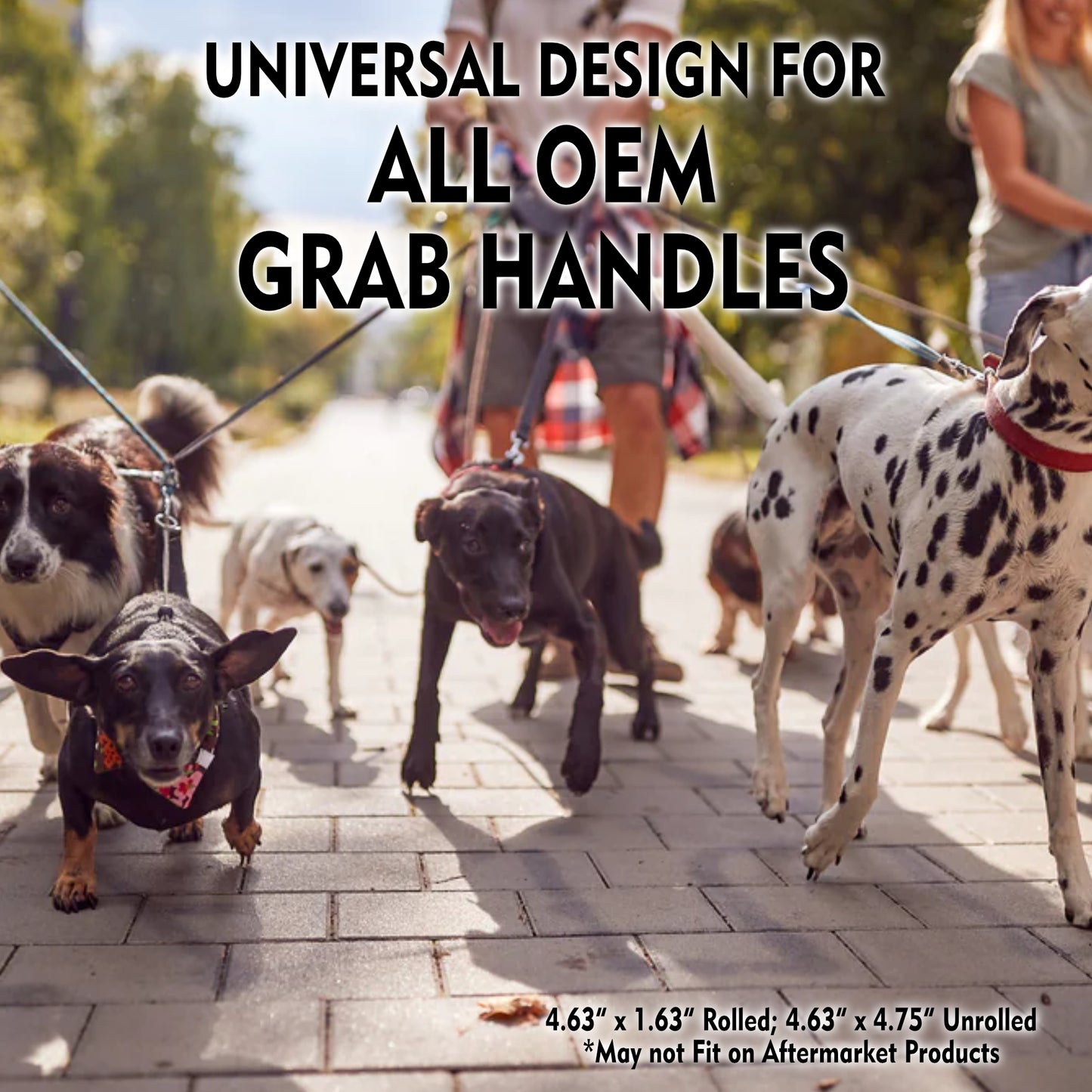 IN TRAINING Grip (1 Unit)