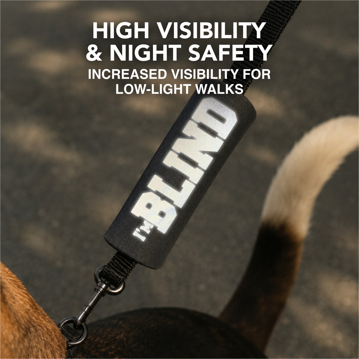 HI-VIS I'm BLIND Sleeve