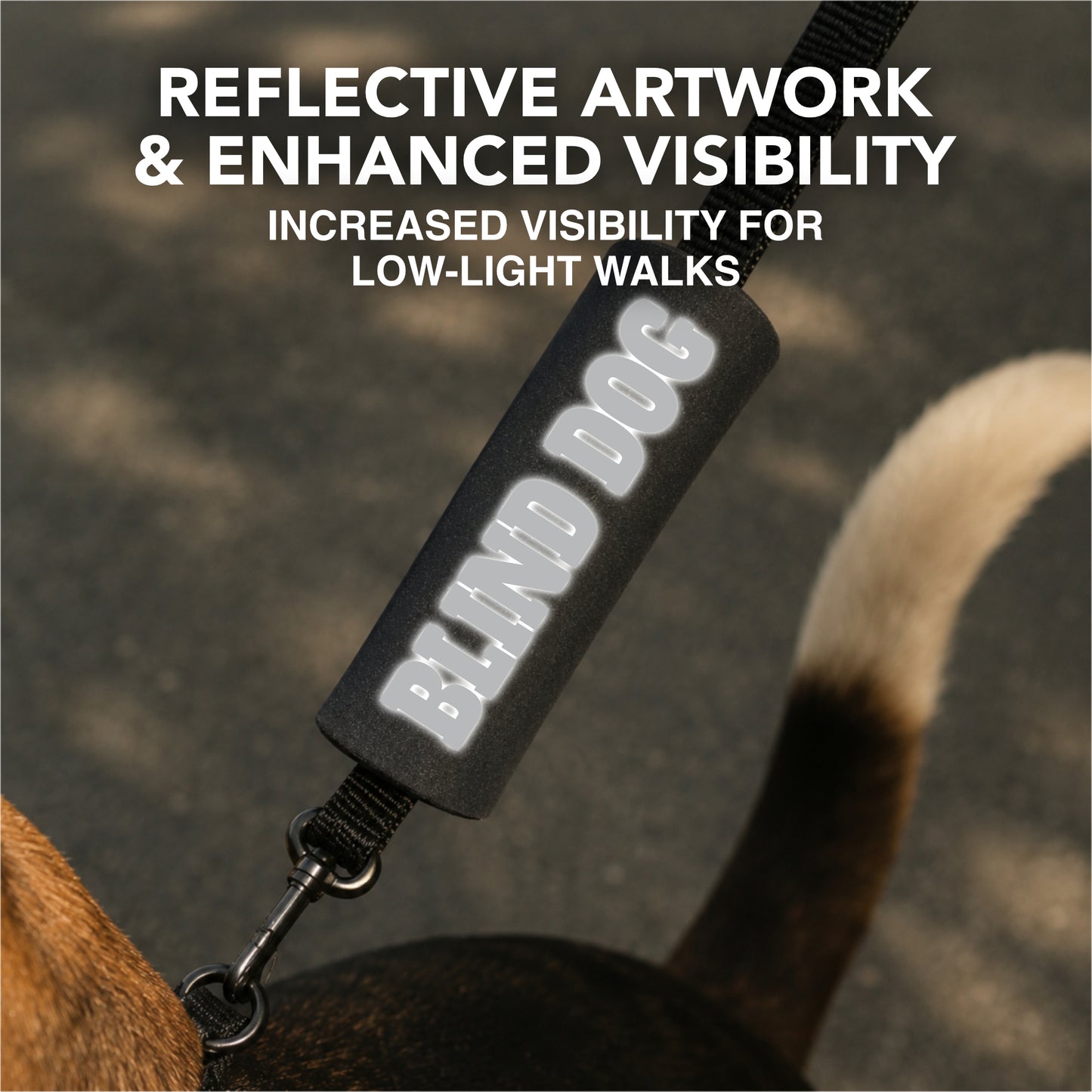 REFLECTIVE Blind Dog