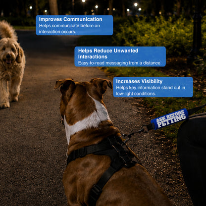 REFLECTIVE Ask Before Petting