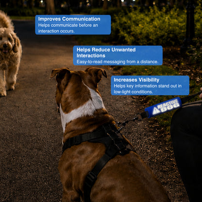 HI-VIS Reactive Dog Sleeve
