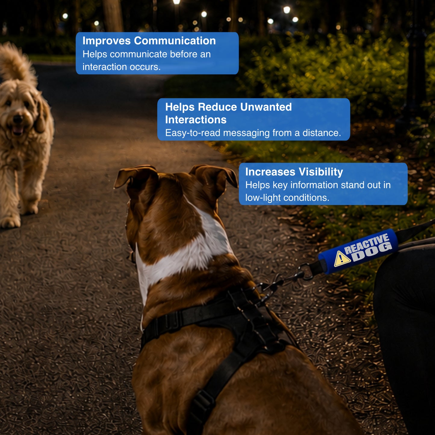 REFLECTIVE Reactive Dog