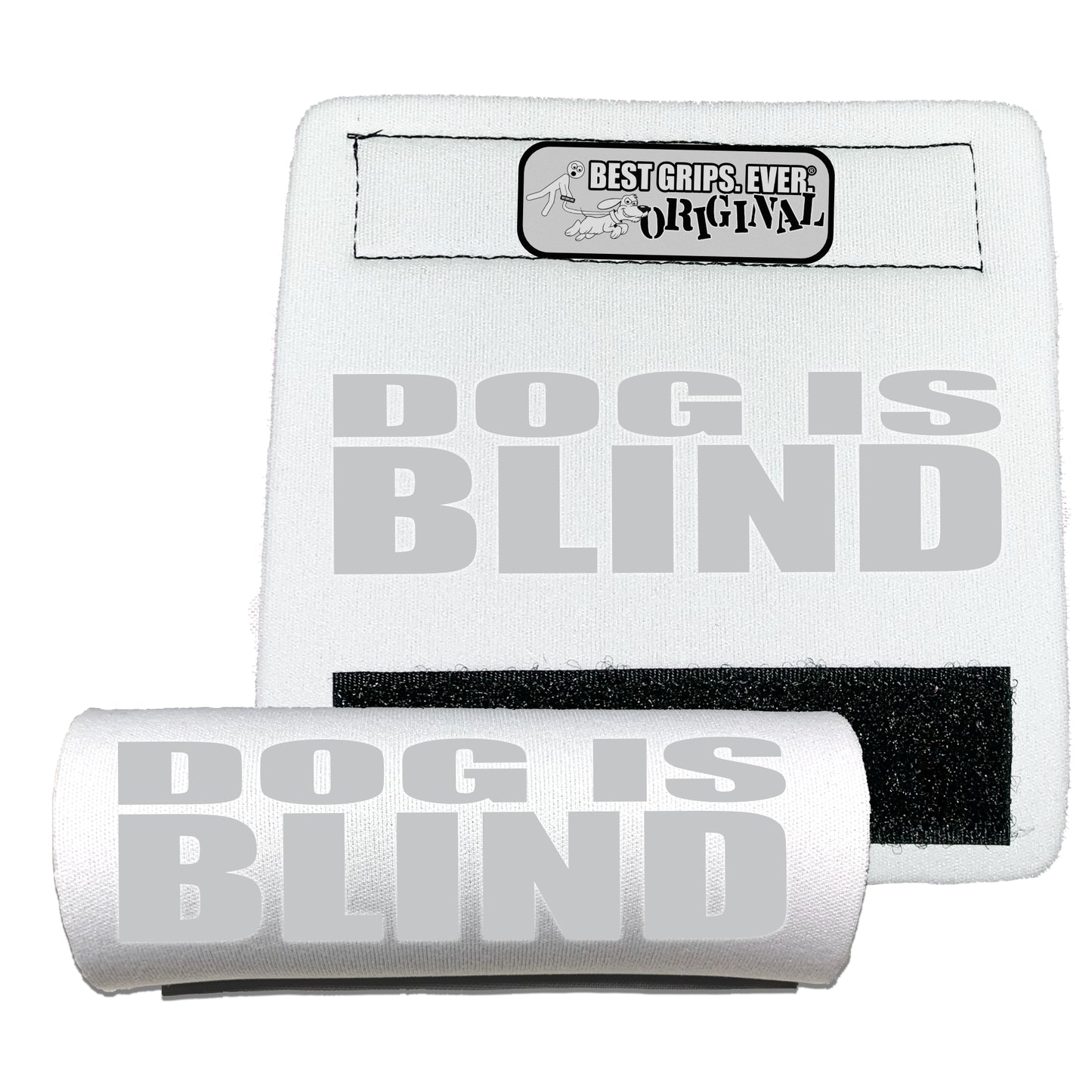 REFLECTIVE Dog is Blind