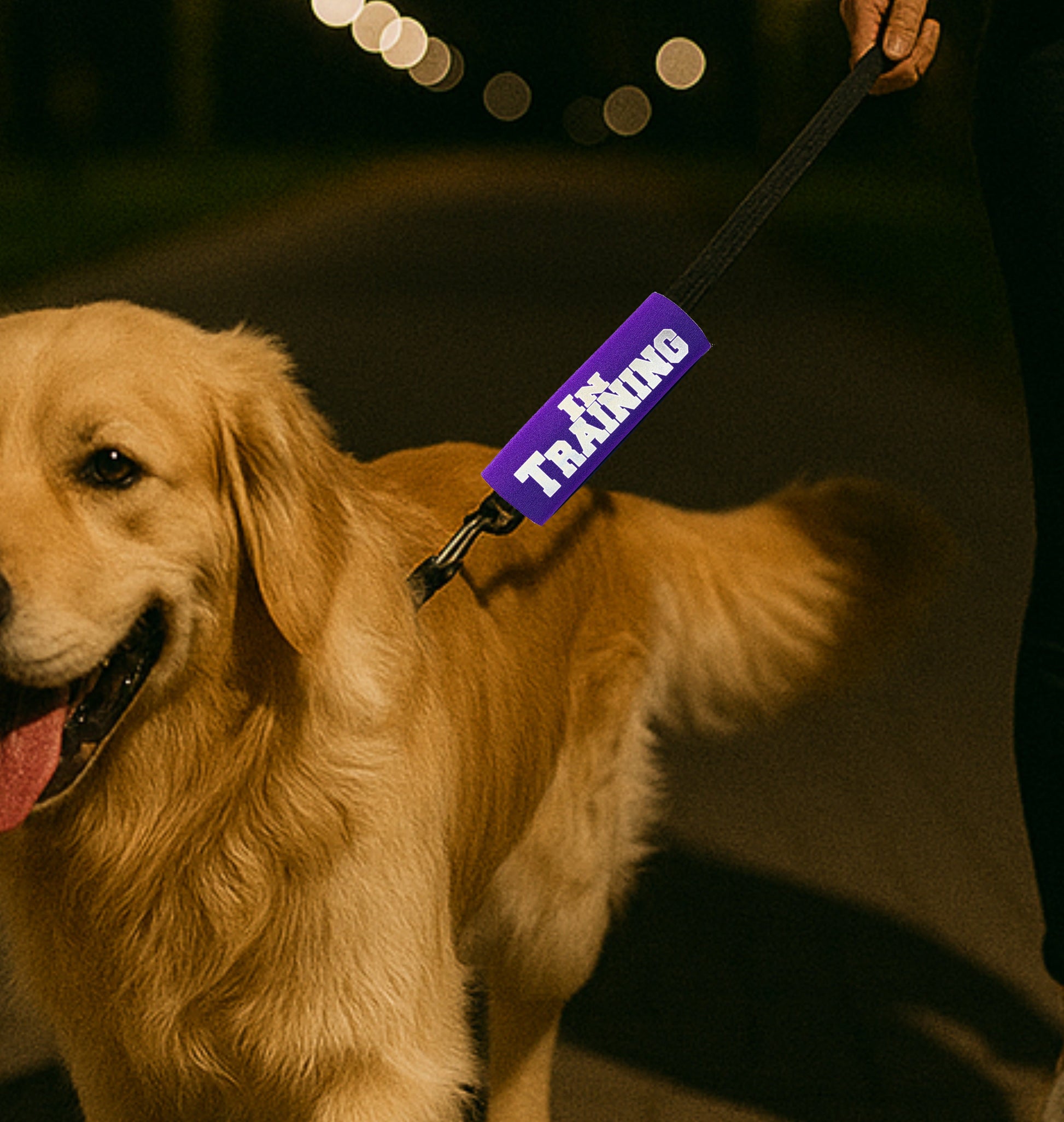 BEST GRIPS. EVER.® leash grip featuring HI-VIS IN TRAINING Grip, designed to improve comfort, control, and safety during dog walks.
