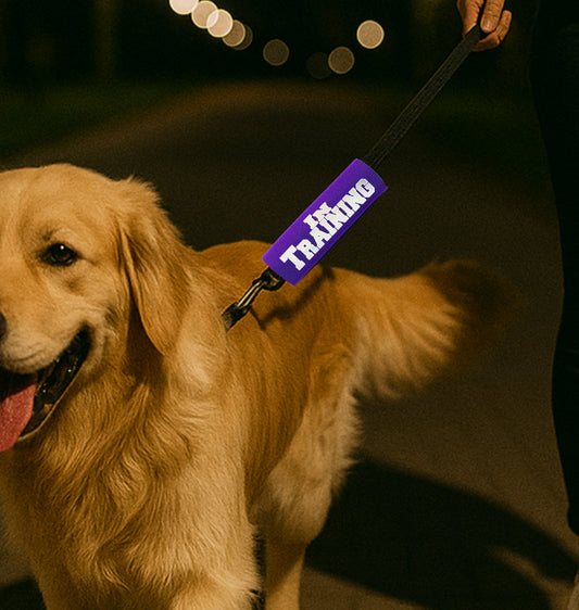 BEST GRIPS. EVER.® leash grip featuring HI-VIS IN TRAINING Grip, designed to improve comfort, control, and safety during dog walks.