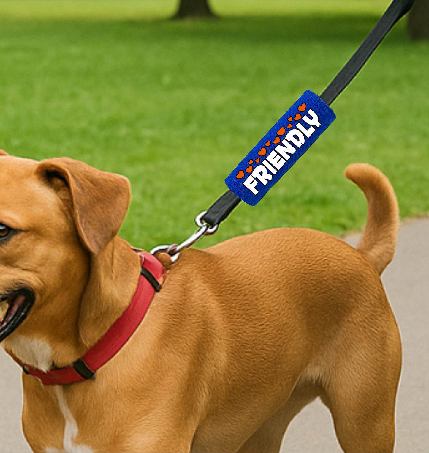 BEST GRIPS. EVER.® leash grip featuring I'M FRIENDLY Grip, designed to improve comfort, control, and safety during dog walks.