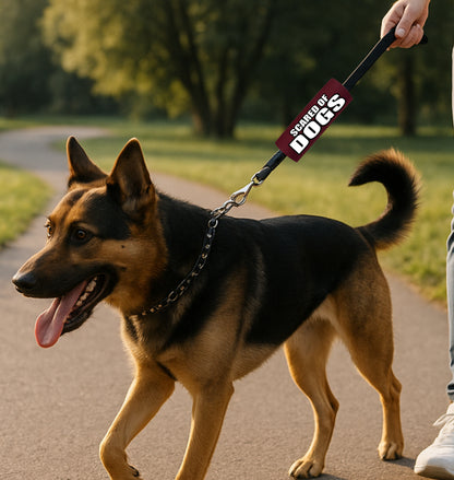 BEST GRIPS. EVER.® leash grip featuring SCARED OF DOGS Grip, designed to improve comfort, control, and safety during dog walks.