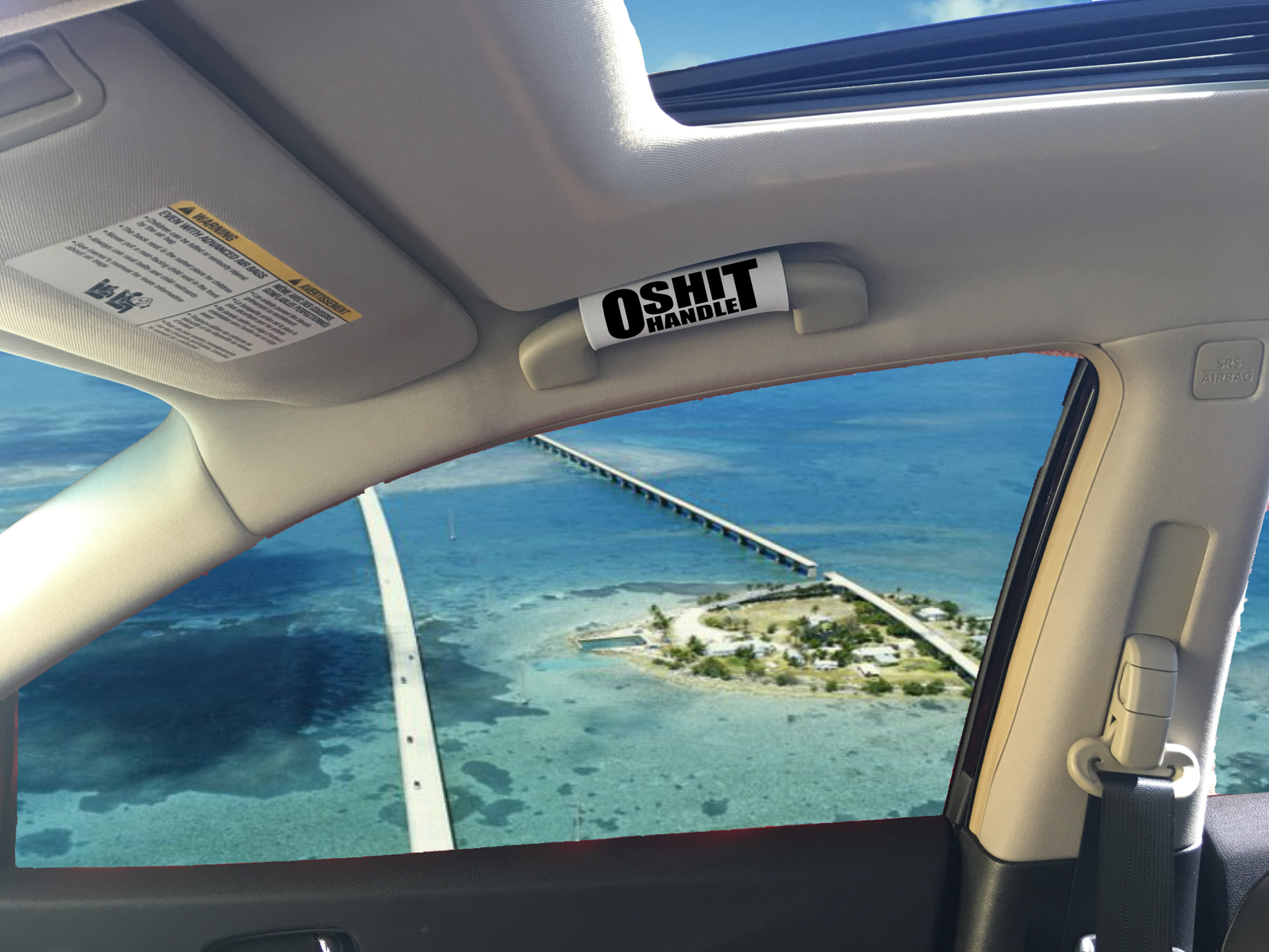 The O Shit Handle® - BEST GRIPS. EVER.®